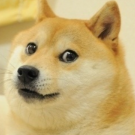 Wiiz
