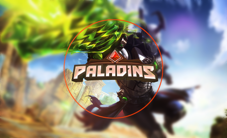 More information about "Paladins"