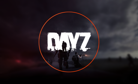 More information about "DayZ Cheat"