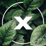 xvizal